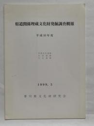 県道関係埋蔵文化財発掘調査概報　平成10年度