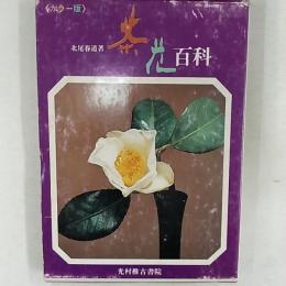 茶花百科