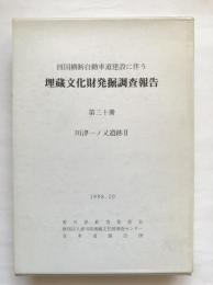 四国横断自動車道建設に伴う埋蔵文化財発掘調査報告　第30冊　川津一ノ又遺跡2