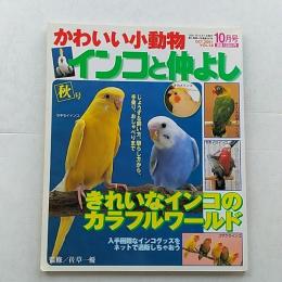 かわいい小動物Vol.28　　インコと仲よし