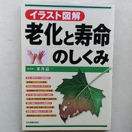 老化と寿命のしくみ : イラスト図解