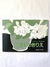 愛知のきりえ : 第20回愛知きりえ展記念画集