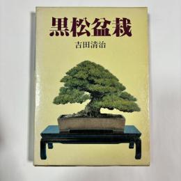 黒松盆栽