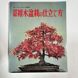 図解　雑木盆栽の仕立て方　（ガーデンライフ別冊）