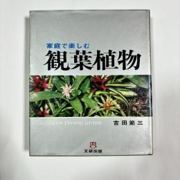 観葉植物 : 家庭で楽しむ