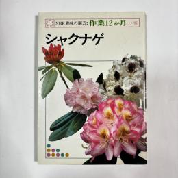 NHK趣味の園芸：作業12か月⑮　【シャクナゲ】