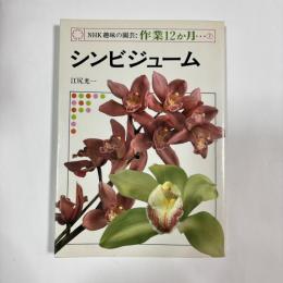 NHK趣味の園芸：作業12か月⑦　【シンビジューム】