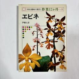 NHK趣味の園芸：作業12か月⑧　【エビネ】