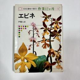 NHK趣味の園芸：作業12か月⑧　【エビネ】