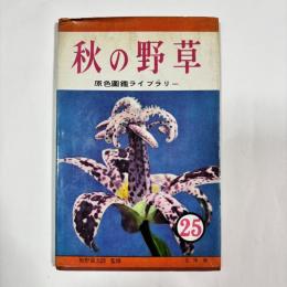 秋の野草