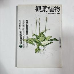観葉植物
