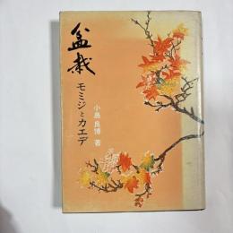 盆栽 : モミジとカエデ