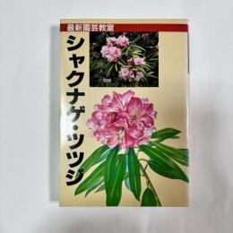 シャクナゲ・ツツジ