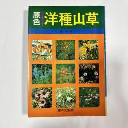 原色 洋種山草