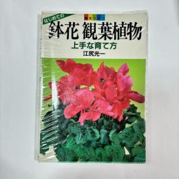 鉢花・観葉植物 : 上手な育て方