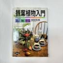 観葉植物入門 : 選ぶ・飾る・育てる