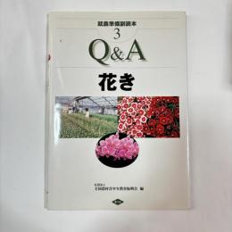 Q&A 花き