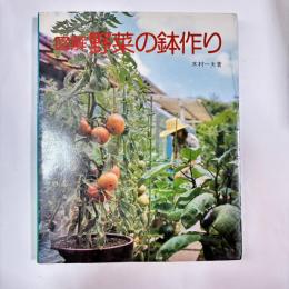 図解 野菜の鉢作り