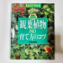 最新図解観葉植物80育て方のコツ : 見るだけでわかる