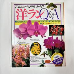 こんなときどうしたら？洋ラン Q&A　（主婦の友生活シリーズ）