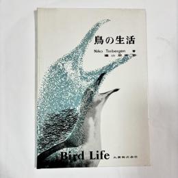 鳥の生活