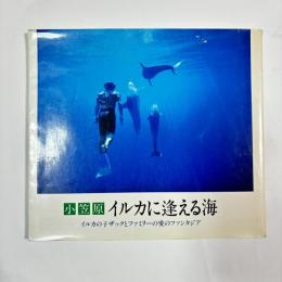 小笠原イルカに逢える海 : イルカの子ザックとファミリーの愛のファンタジア