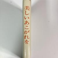 美しいあこがれを