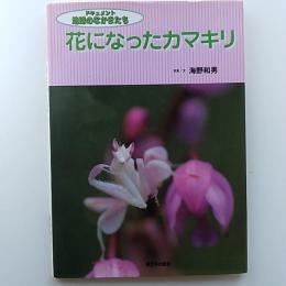 花になったカマキリ