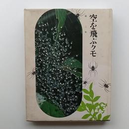 空を飛ぶクモ