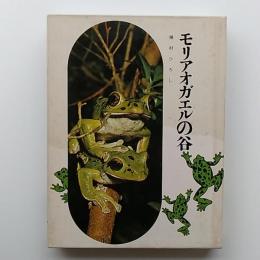 モリアオガエルの谷