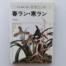 春ラン・寒ラン
