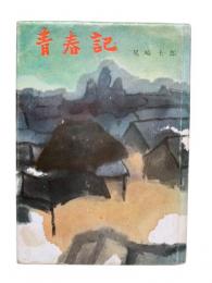 青春記