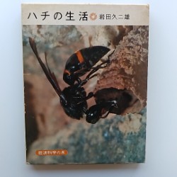 ハチの生活