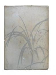 薄明消息