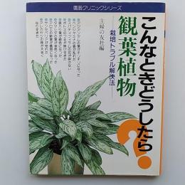 観葉植物 : こんなときどうしたら? : 栽培トラブル解決法