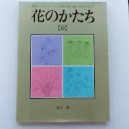 花のかたち