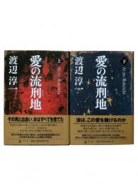 愛の流刑地 上下2冊揃