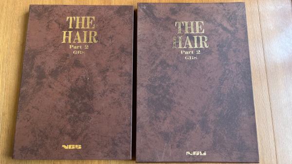 THE HAIR Part2 ザ ヘアー 日本芸術出版社 GS 会員限定 NGS