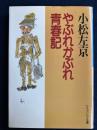 やぶれかぶれ青春記
