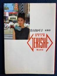青山知可子 : 亜熱帯