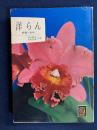洋らん : 観賞と栽培