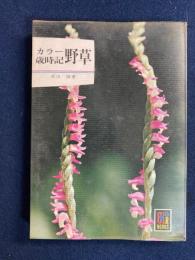 野草 : カラー歳時記