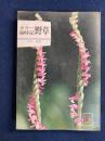 野草 : カラー歳時記