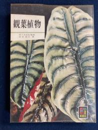 観葉植物