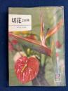 切花 : 200種