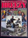 ＲＶ4ＷＤ中古車ガイド　2月号増刊　バイブス特別編集版　ブリージーinジャパン