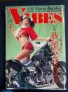VIBES　バイブス　2006-1　特集=我流2005
