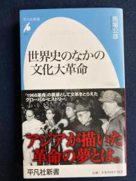 世界史のなかの文化大革命