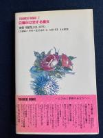 日曜日は恋する魔女