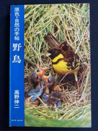 野鳥 : 原色・自然の手帖